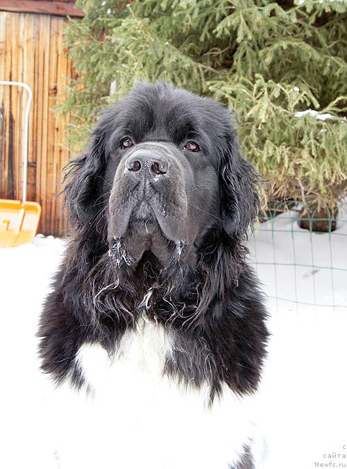 Фотография № 118503