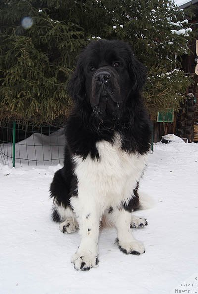 Фотография № 118505