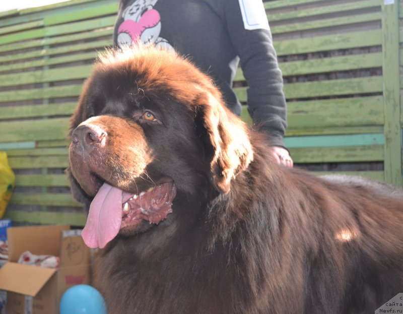 Фотография № 118626