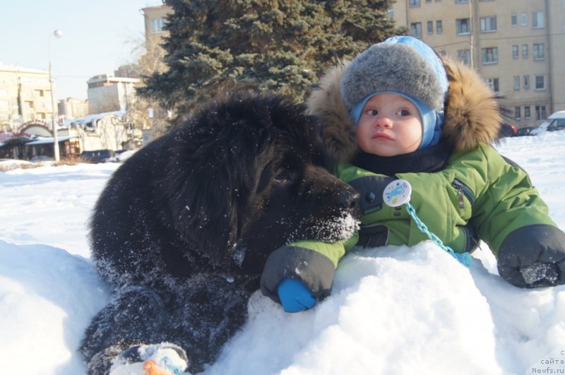 Фотография № 118668