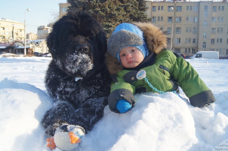 Фотография № 118669