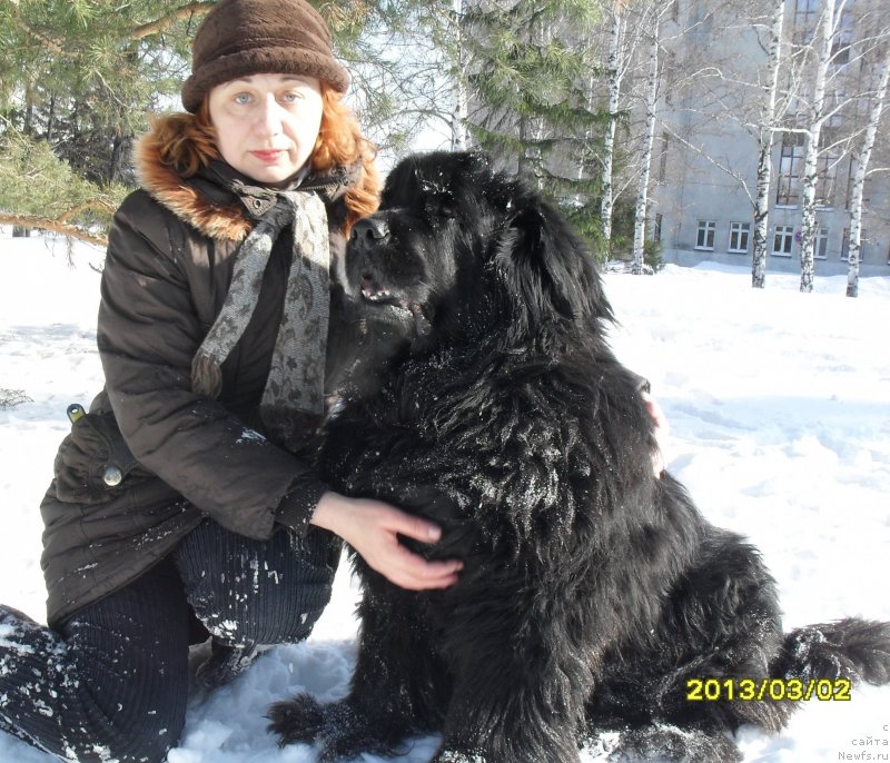 Фотография № 118679