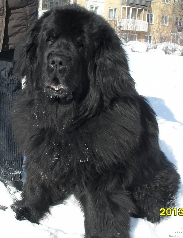 Фотография № 118687