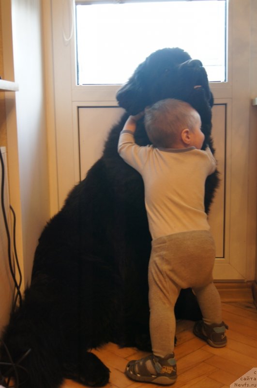 Фотография № 118697