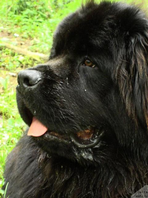 Фотография № 11884