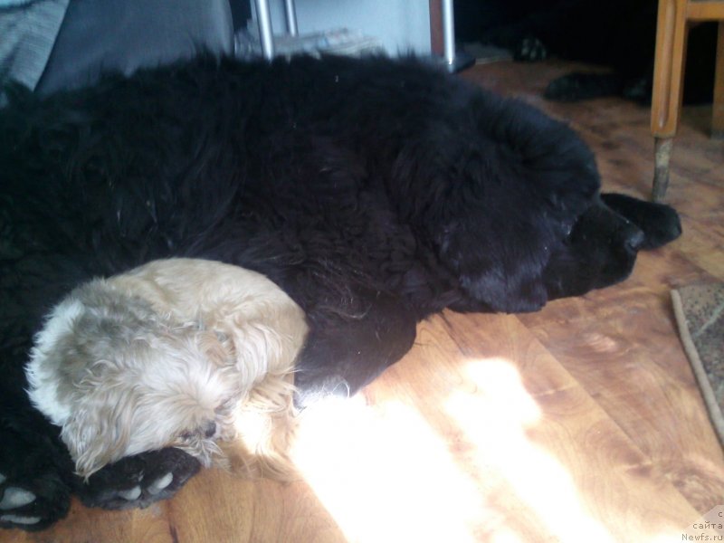 Фотография № 118855