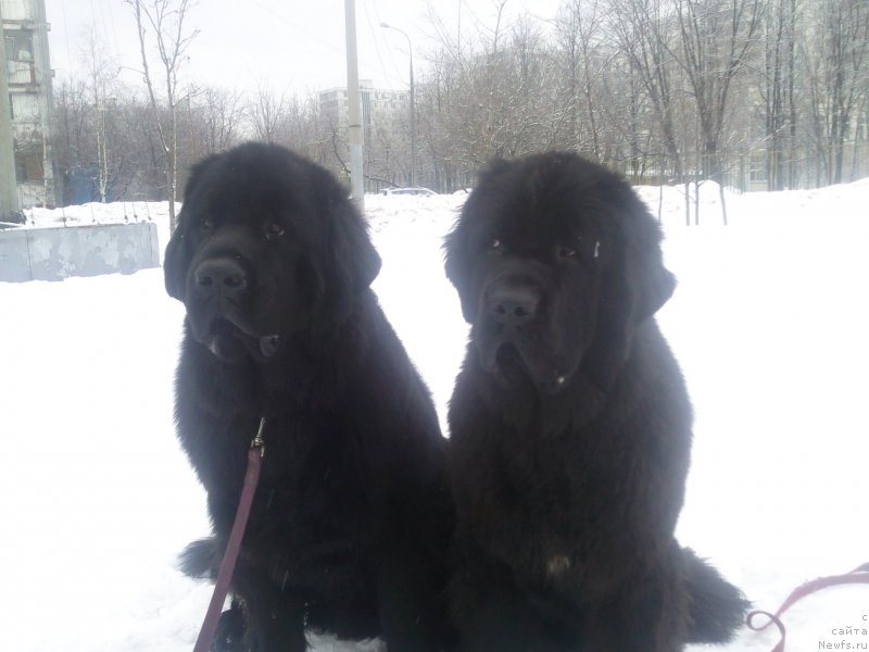 Фотография № 118856