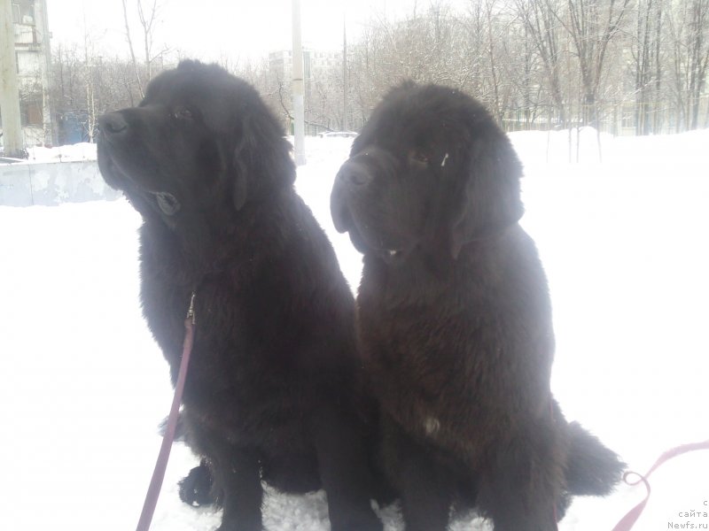 Фотография № 118857