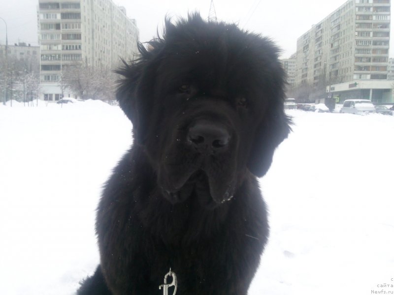 Фотография № 118858