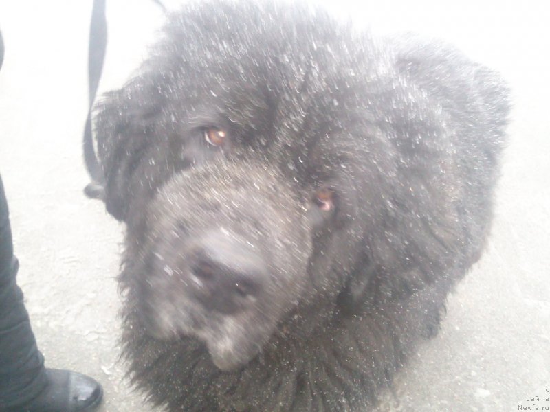 Фотография № 118859