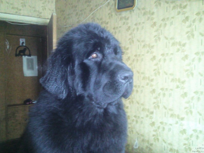 Фотография № 118861