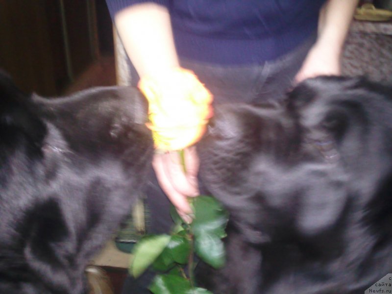 Фотография № 118863