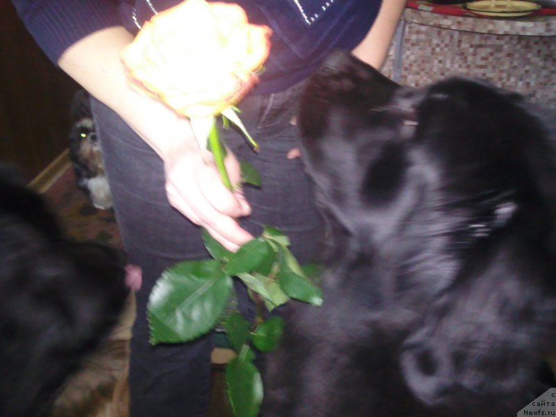 Фотография № 118864