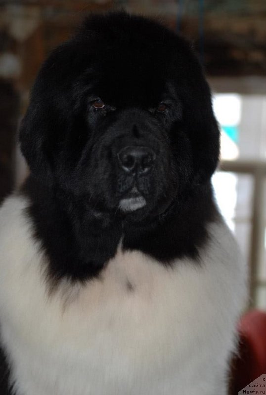 Фотография № 118873