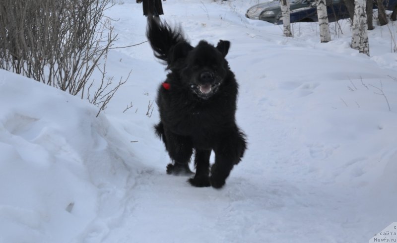 Фотография № 118884