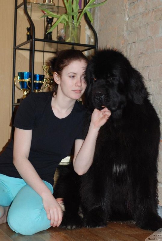 Фотография № 118885