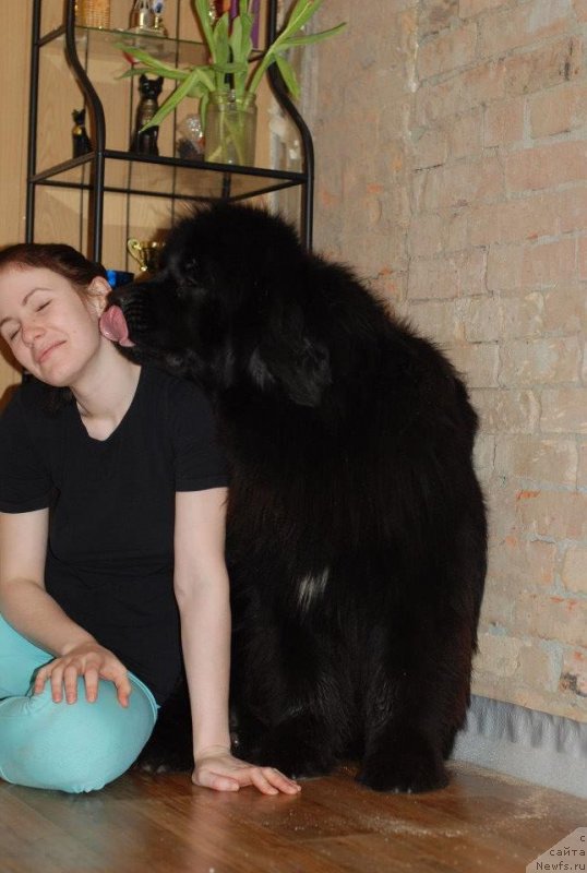 Фотография № 118886