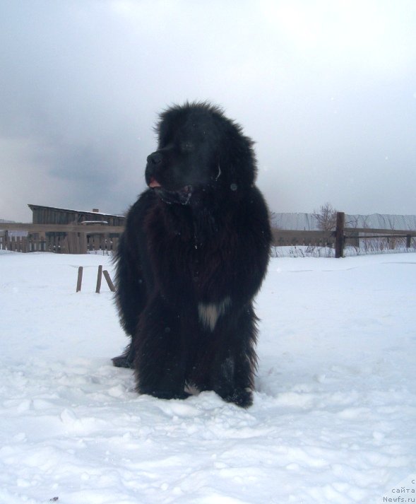 Фотография № 118906