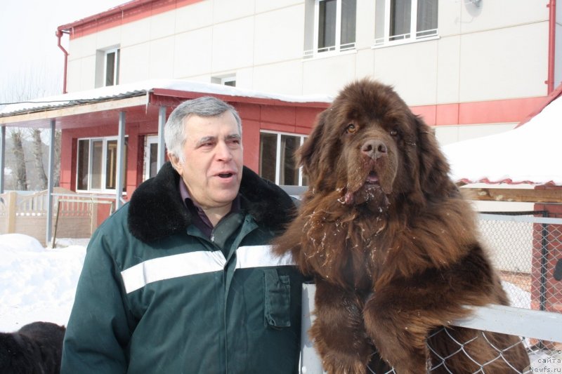 Фото: ньюфаундленд Amazing Grace vom Riesrand, Яков Иванович Рудаков