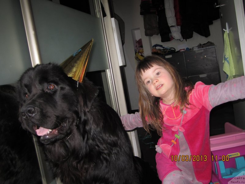 Фотография № 118975