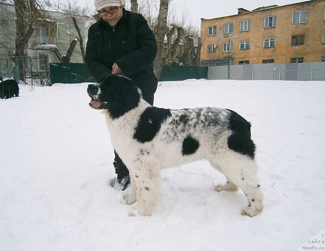 Фотография № 119037