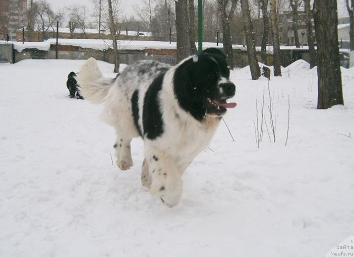 Фотография № 119042