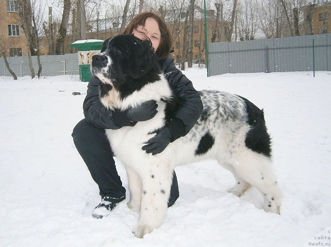 Фотография № 119045