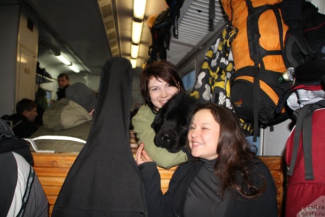 Фотография № 119089