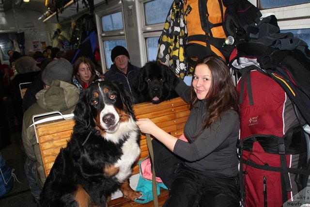 Фотография № 119090