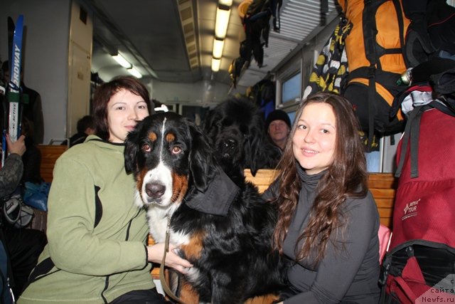 Фотография № 119091