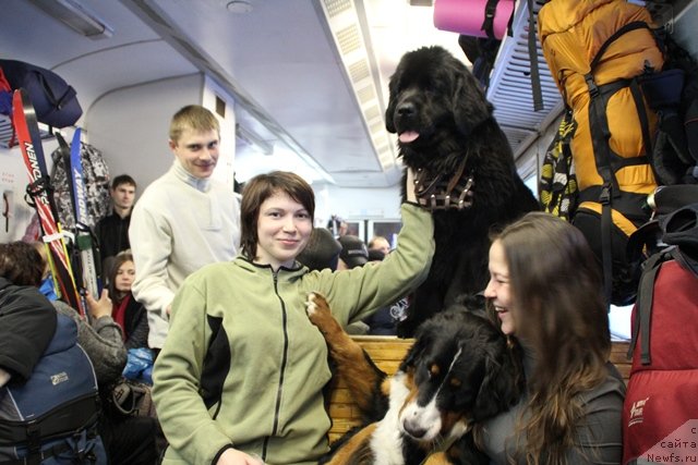 Фотография № 119092