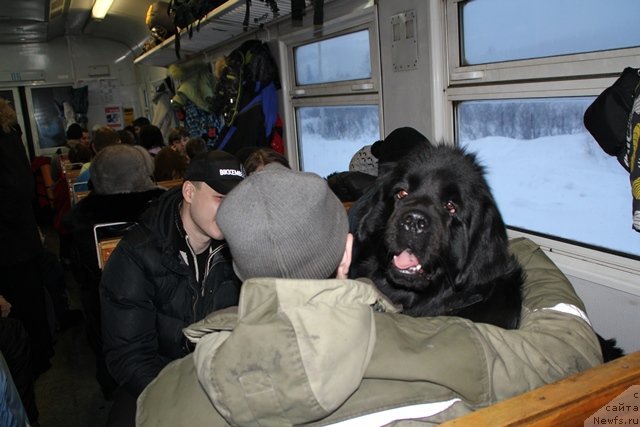 Фотография № 119093