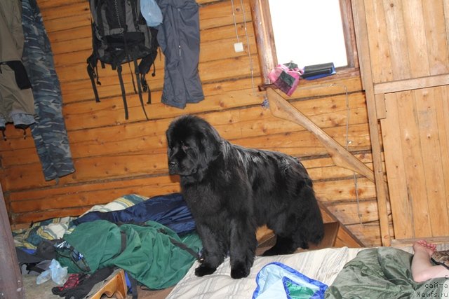 Фотография № 119099