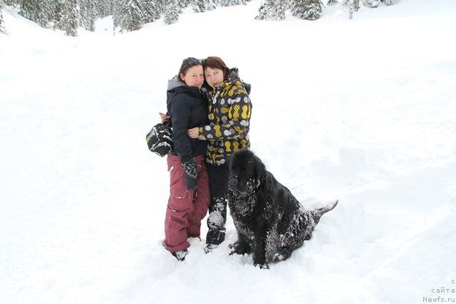 Фотография № 119102