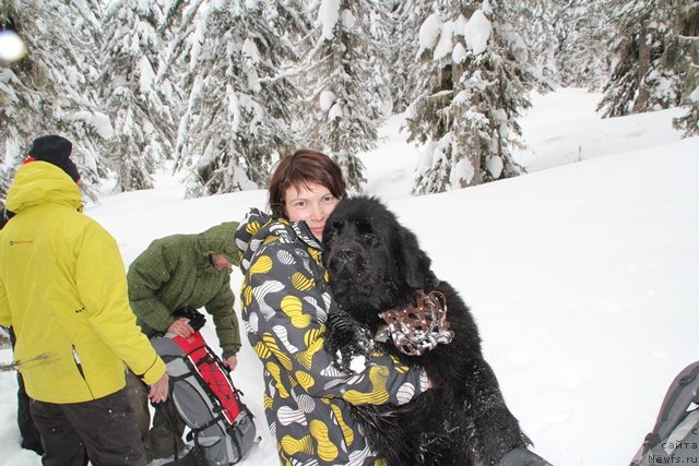 Фотография № 119103