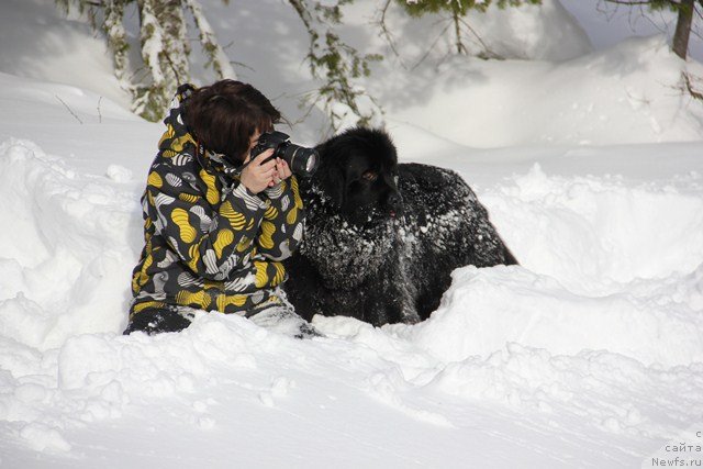 Фотография № 119104