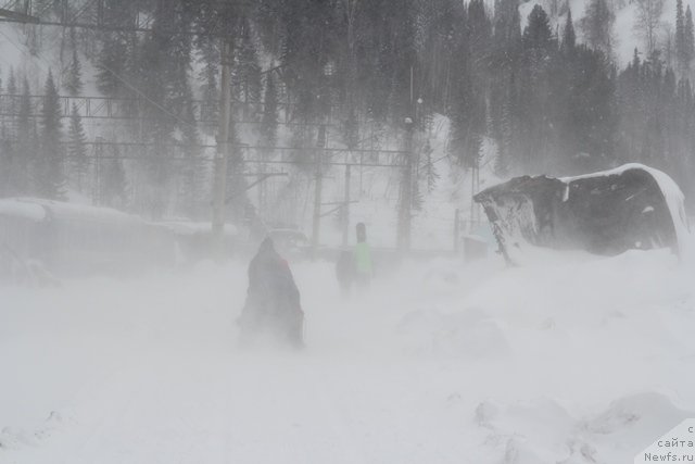 Фотография № 119106