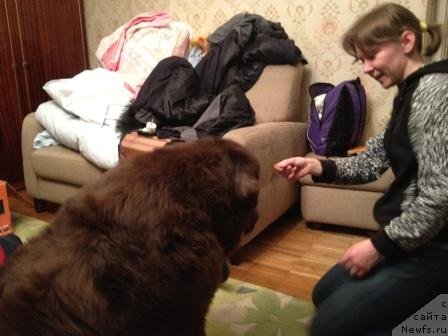 Фотография № 119129