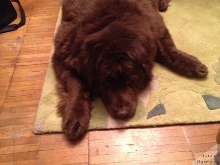 Фотография № 119130