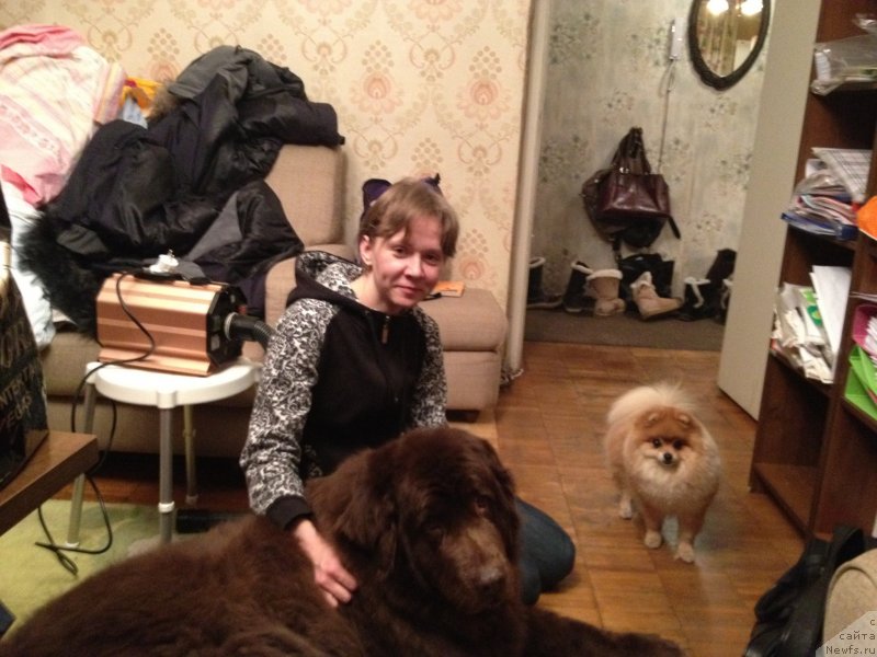 Фотография № 119131