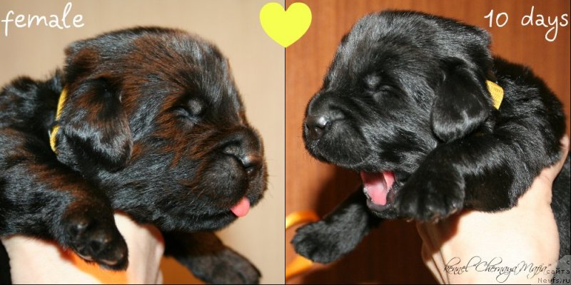 Фотография № 119138