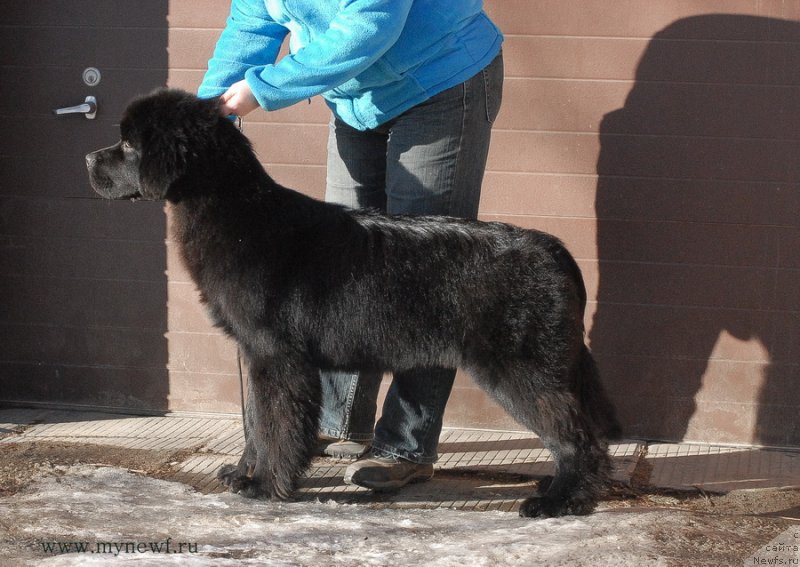 Фотография № 119145