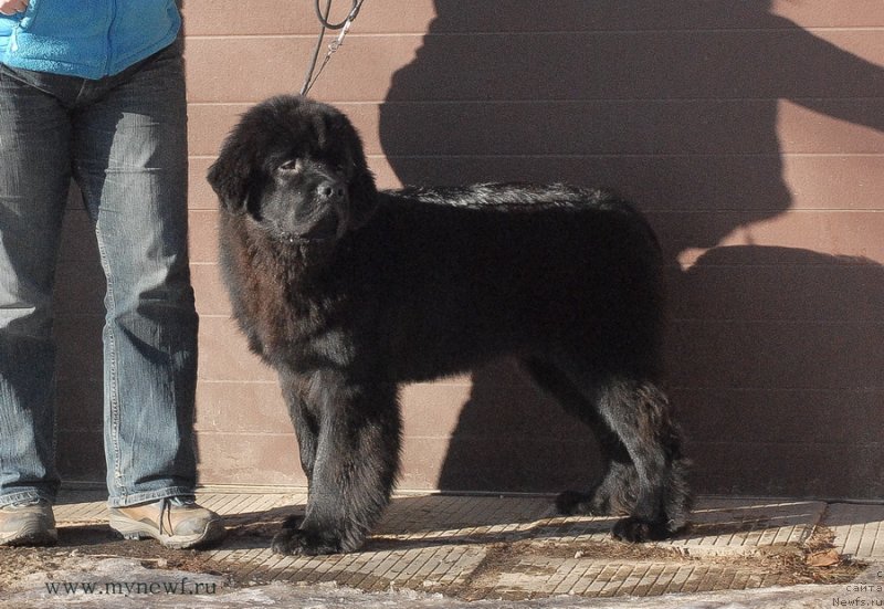 Фотография № 119148