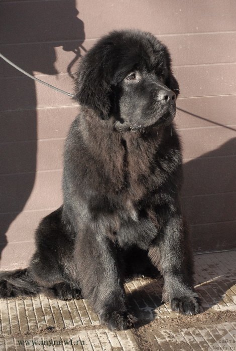 Фотография № 119151