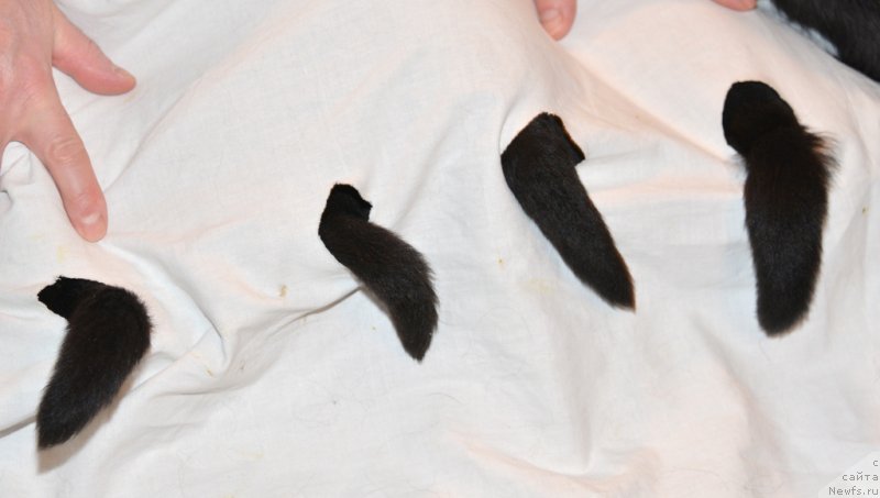 Фото: Антон Яковлев