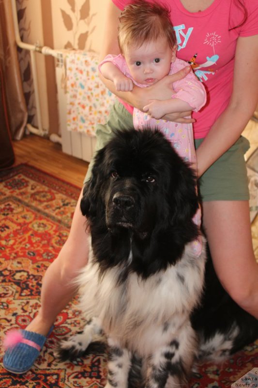 Фотография № 119219