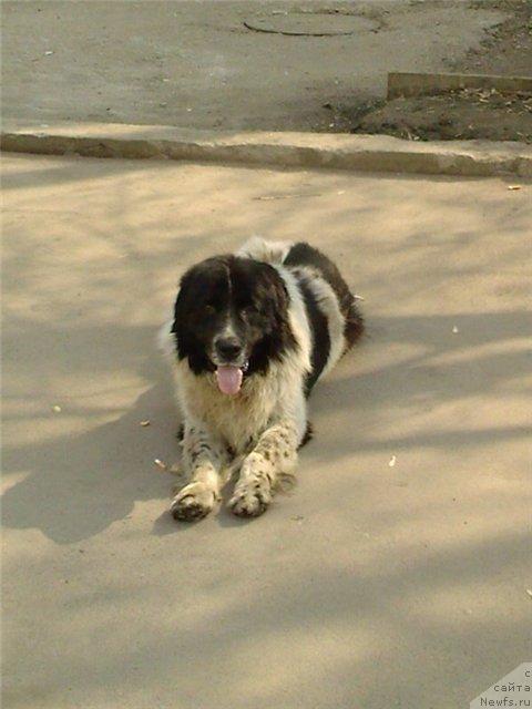 Фотография № 11922