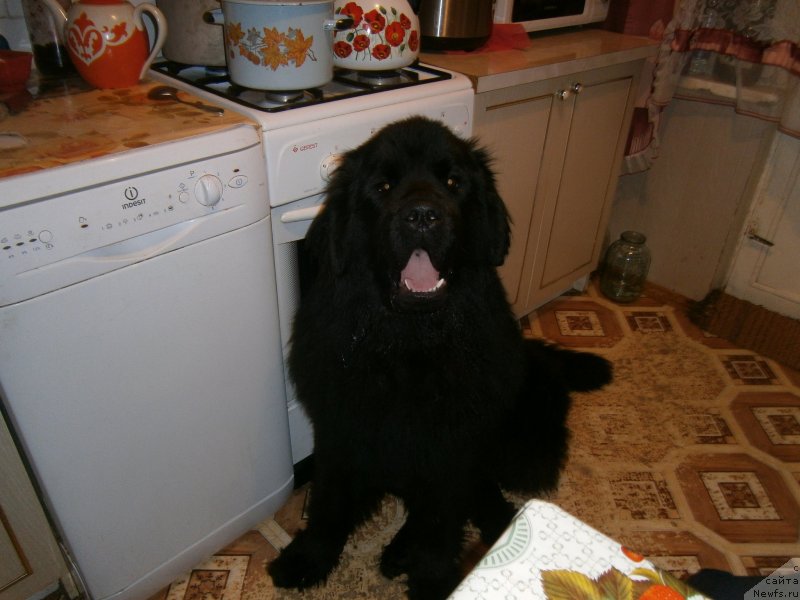 Фотография № 119220