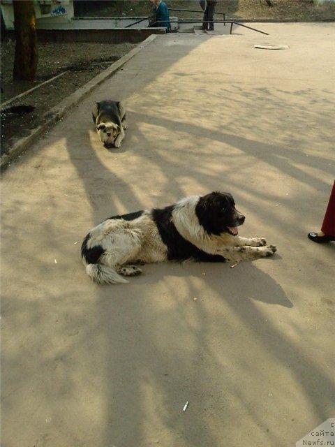 Фотография № 11923