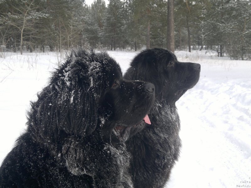 Фото: Елена Гриценко